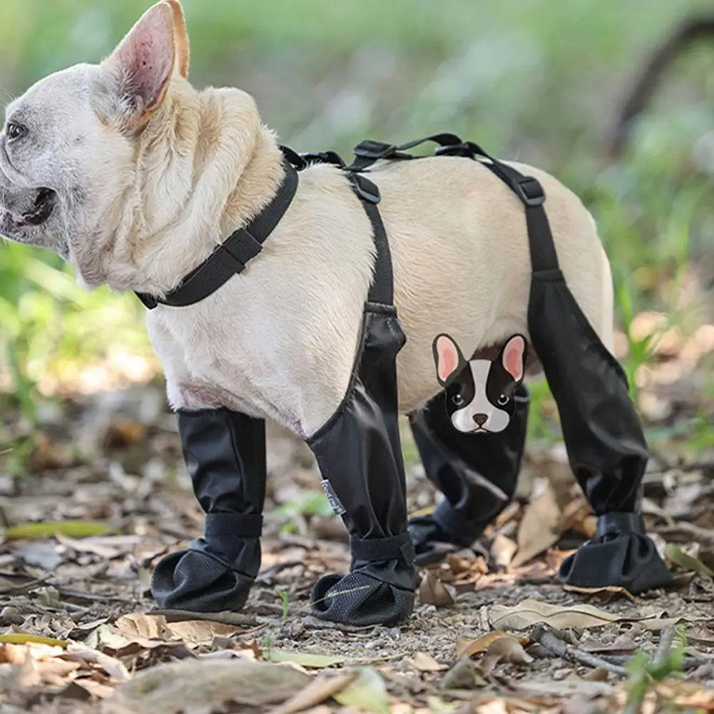 Verstelbare antislip hondenschoenen™