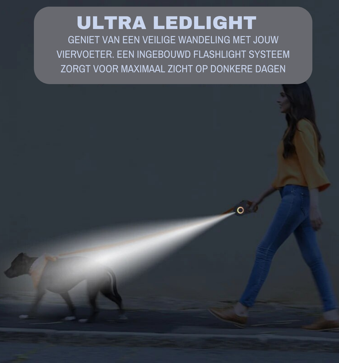 LED-LICHT HONDENLEASH™ | WANDEL MET EXTRA ZICHTBAARHEID MET JE TROUWE VRIEND