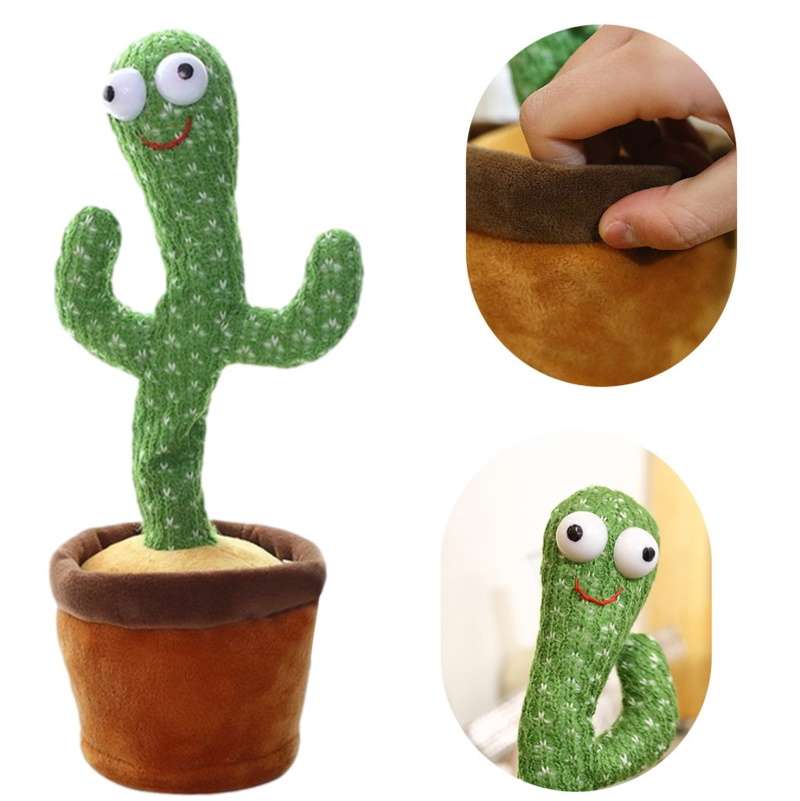 Mijnheer Cactus | Dansende en zingende cactus | Met opnamefunctie