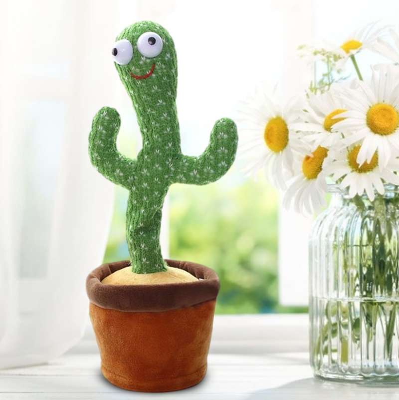 Mijnheer Cactus | Dansende en zingende cactus | Met opnamefunctie