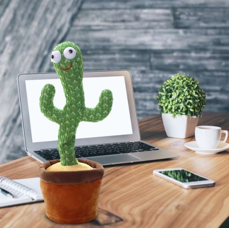 Mijnheer Cactus | Dansende en zingende cactus | Met opnamefunctie