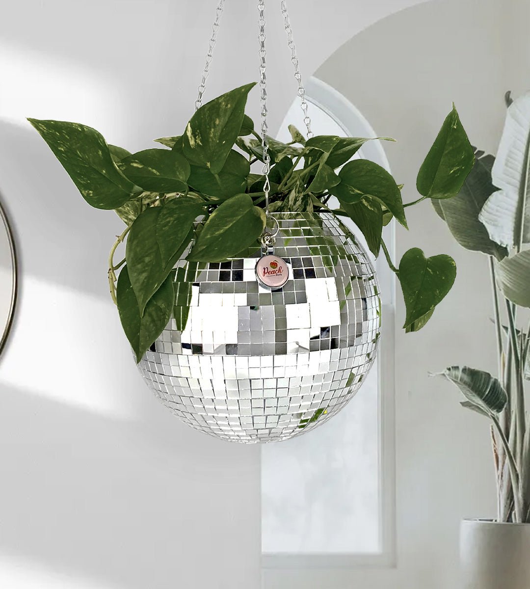 Disco-Topf ™ | Party in Ihrem Zuhause